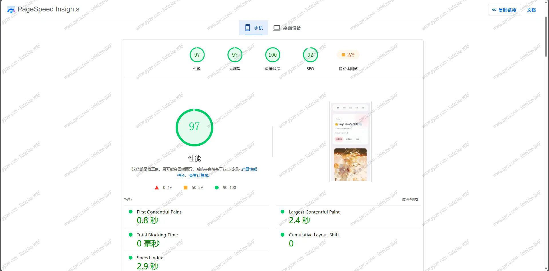 Speed Insight Mobile Score