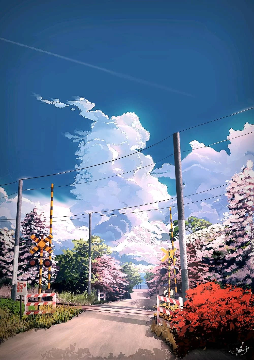摄影